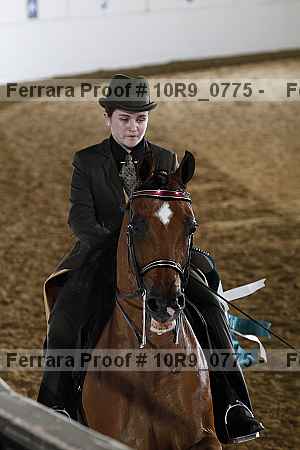 Proof 10r9_0775
