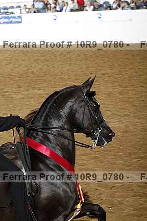 Proof 10r9_0780