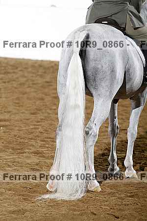 Proof 10r9_0866