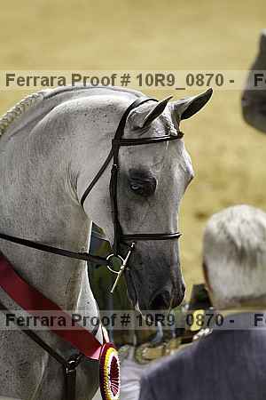 Proof 10r9_0870