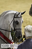 10r9_0870 proof