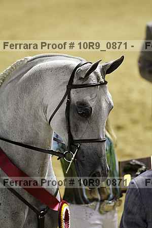 Proof 10r9_0871