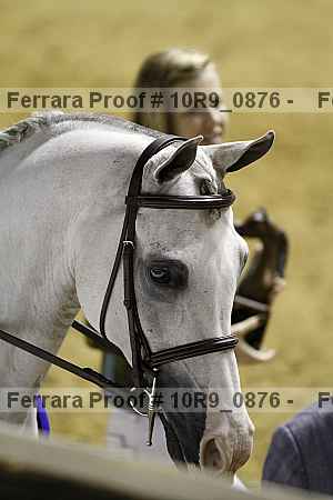 Proof 10r9_0876