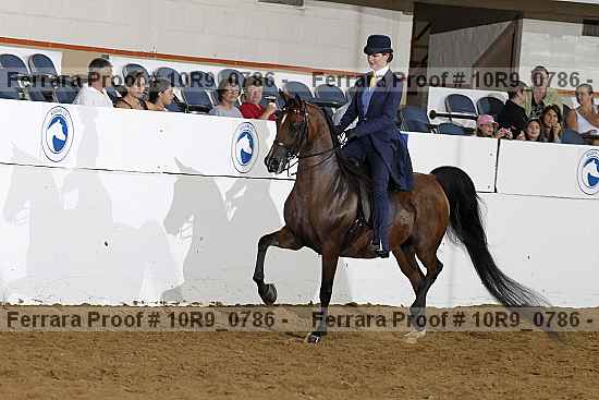 Proof 10r9_0786