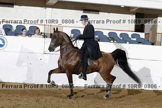 Proof 10r9_0806