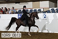 10r9_0813 proof
