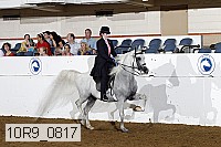 10r9_0817 proof