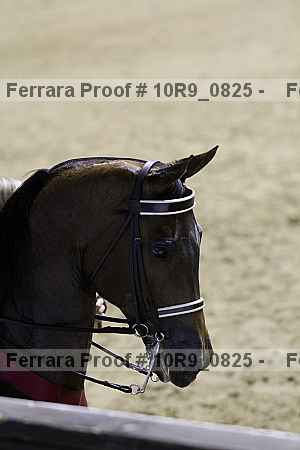 Proof 10r9_0825
