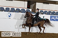 10r9_0833 proof