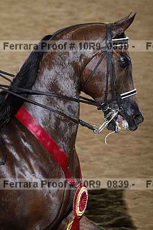Proof 10r9_0839