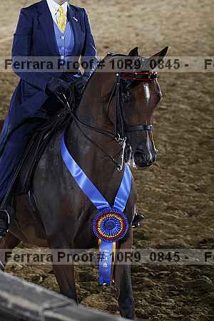 Proof 10r9_0845