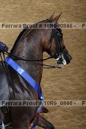 Proof 10r9_0846