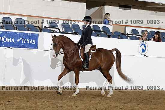 Proof 10r9_0893