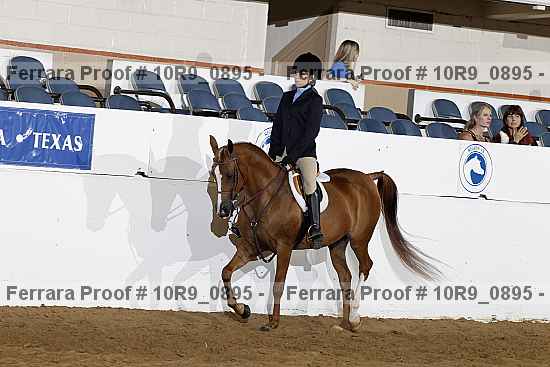 Proof 10r9_0895