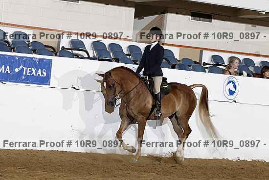 Proof 10r9_0897
