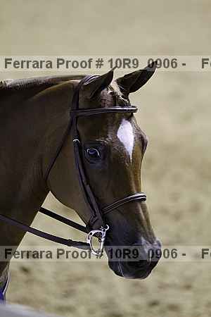 Proof 10r9_0906
