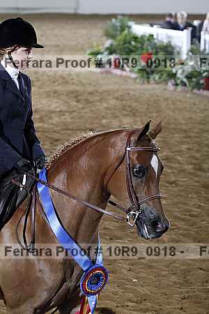 Proof 10r9_0918