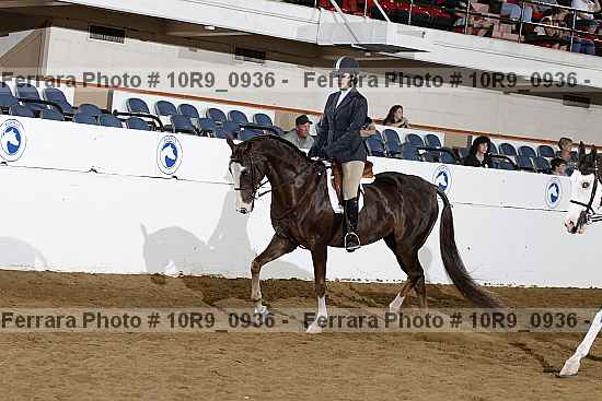Proof 10r9_0936
