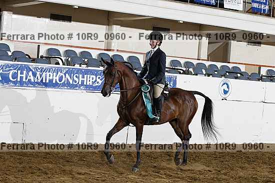 Proof 10r9_0960