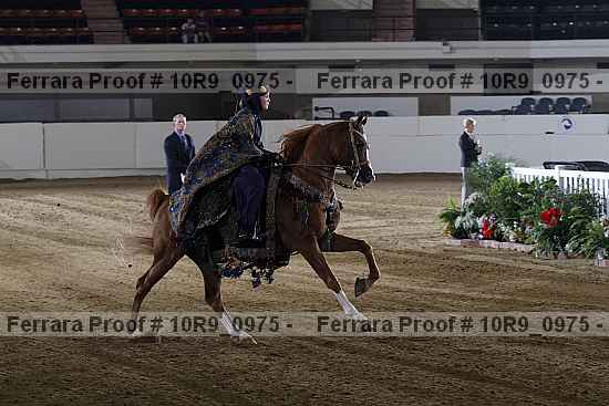 Proof 10r9_0975