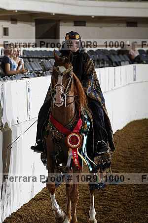 Proof 10r9_1000