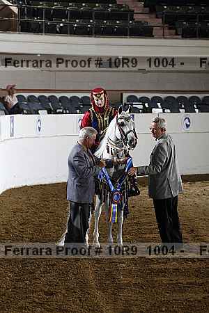 Proof 10r9_1004