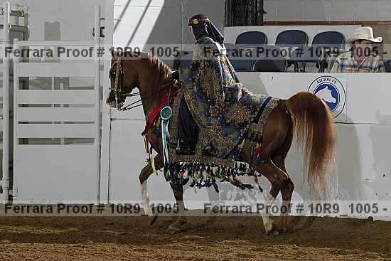 Proof 10r9_1005