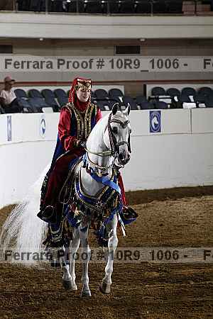 Proof 10r9_1006