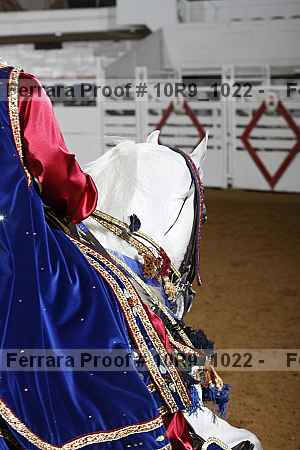 Proof 10r9_1022