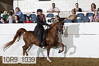 10r9_1039 proof