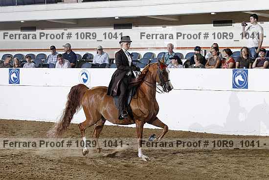 Proof 10r9_1041