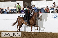 10r9_1042 proof