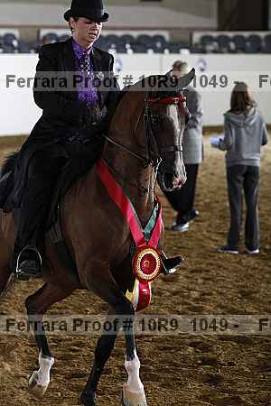 Proof 10r9_1049
