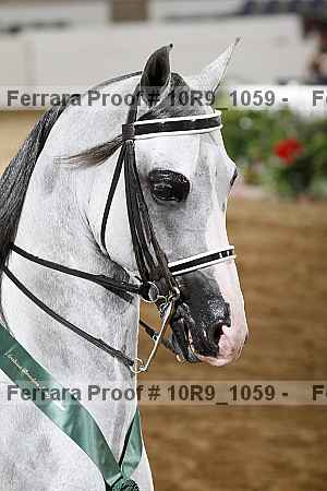 Proof 10r9_1059