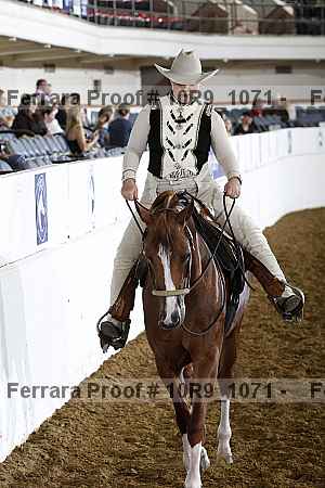 Proof 10r9_1071