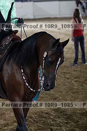 Proof 10r9_1085