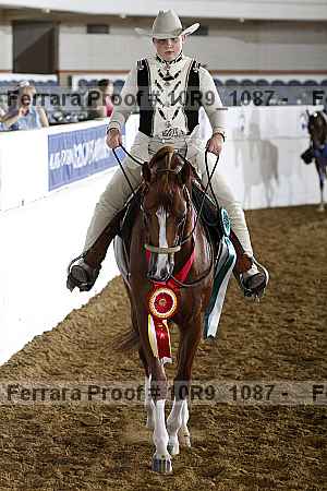 Proof 10r9_1087
