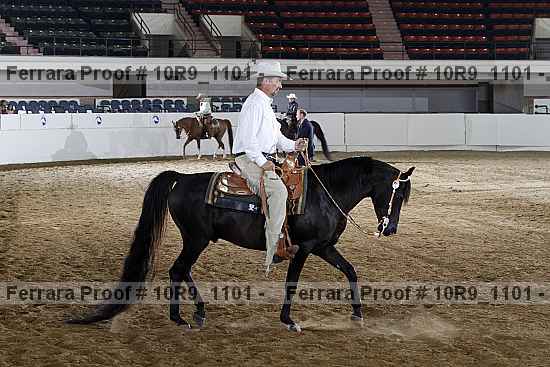 Proof 10r9_1101