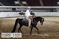 10r9_1101 proof