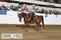 10r9_1102 proof