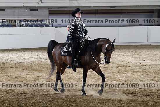 Proof 10r9_1103