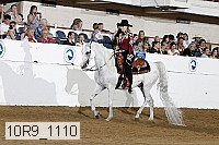 10r9_1110 proof