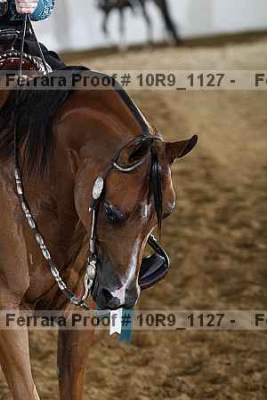 Proof 10r9_1127