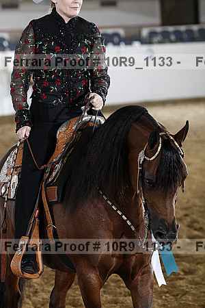 Proof 10r9_1133
