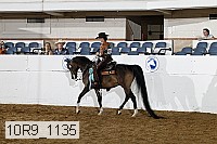 10r9_1135 proof