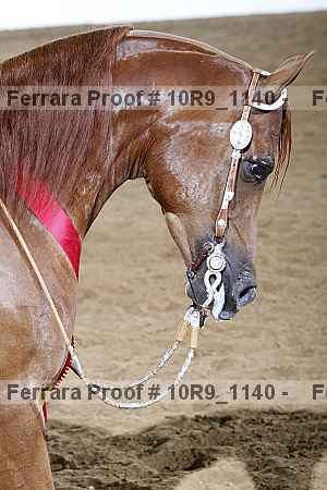 Proof 10r9_1140