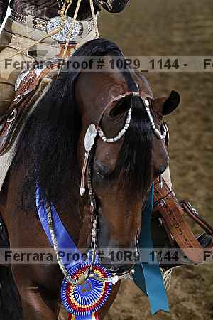 Proof 10r9_1144