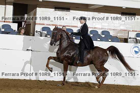 Proof 10r9_1151