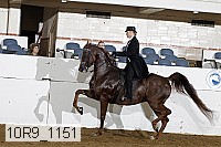 10r9_1151 proof