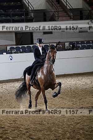Proof 10r9_1157
